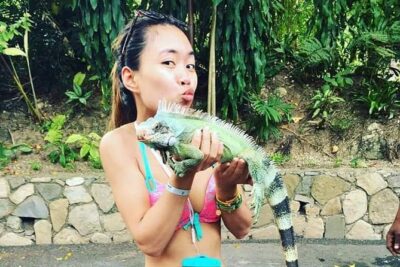 Konoko Falls and Tropical Garden Tour from Ocho Rios