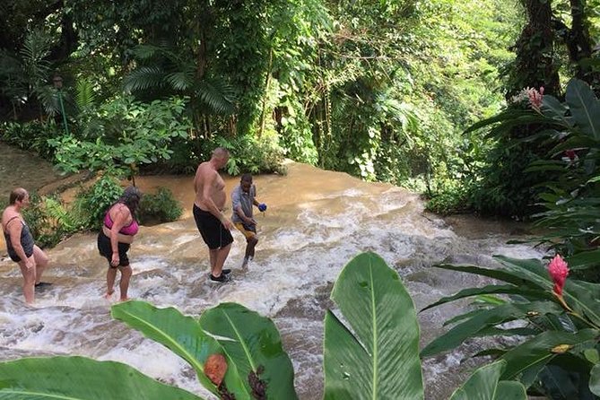 Konoko Falls and Tropical Garden Tour from Ocho Rios - Price value: what you get for $96.16 per person