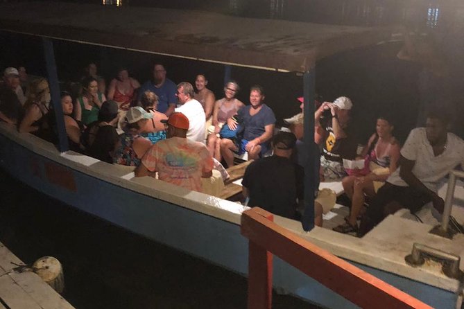 Luminous Lagoon After Dark Tour - Pictures, Stars, and the Timing After the Water