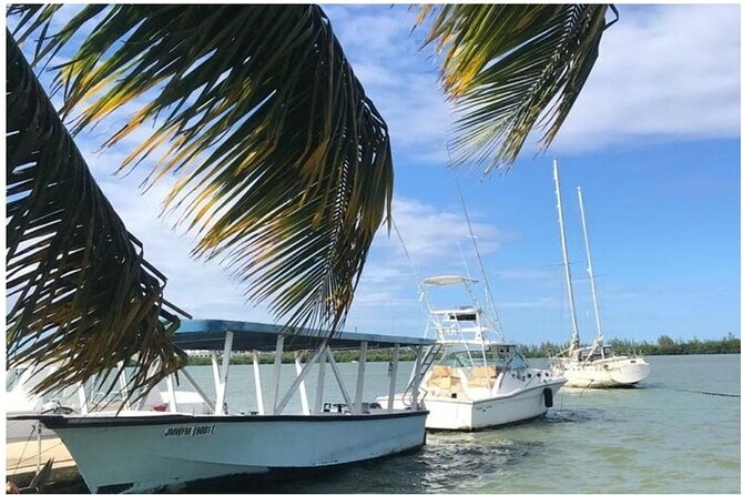Luminous lagoon Dark night Tour from Ocho Rios and Runaway Bay Hotels - Price and what $79 really buys you