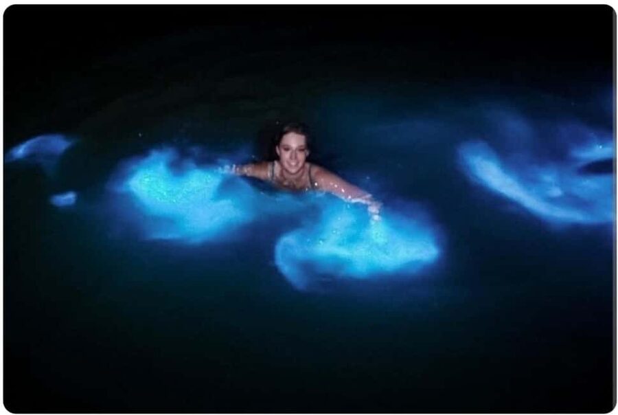 Luminous Lagoon Experience: Ocho Rios Runaway Bay & Falmouth - Quick hits before you go