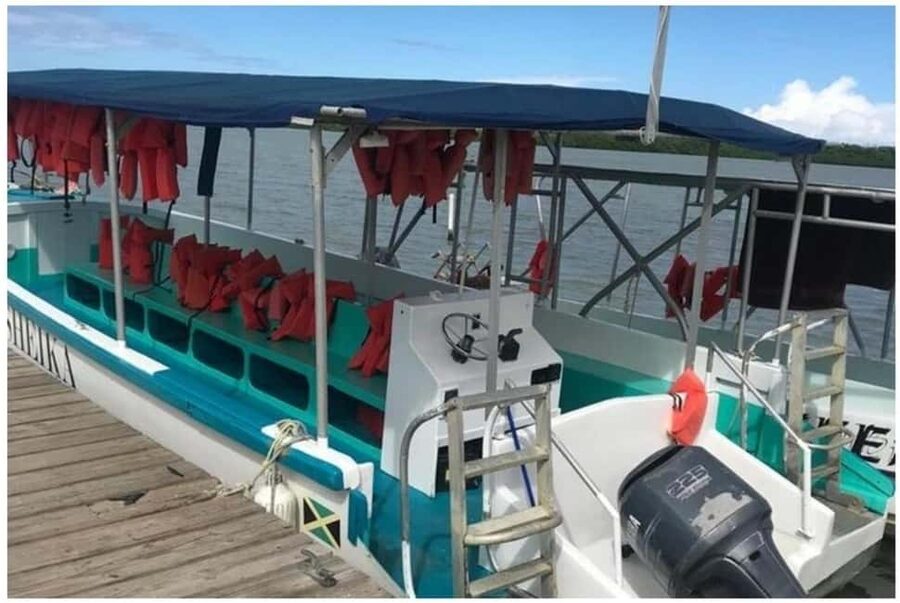 Luminous Lagoon Experience: Ocho Rios Runaway Bay & Falmouth - How to plan for the brightest glow, moon and rain included