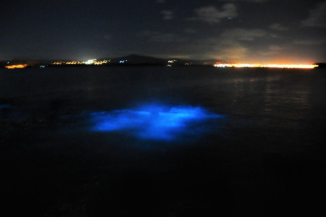 Luminous Lagoon "Glistening Waters" Tour from Grand Palladium Resorts - The Timing: What “4 Hours” Means In Real Life
