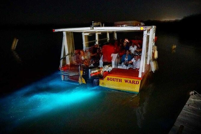 Luminous Lagoon Glow in the Dark Boat Tour from Montego Bay - What makes the Luminous Lagoon glow actually worth your time