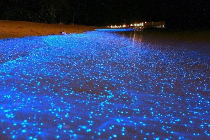 Luminous Lagoon Night-Time Tour from Montego Bay - Getting from Montego Bay without burning your day