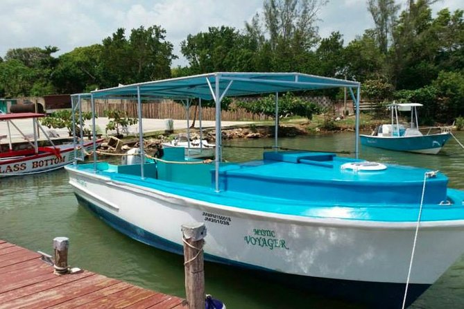 Luminous Lagoon Night-Time Tour from Montego Bay - Price and value: is $105 per person worth it?