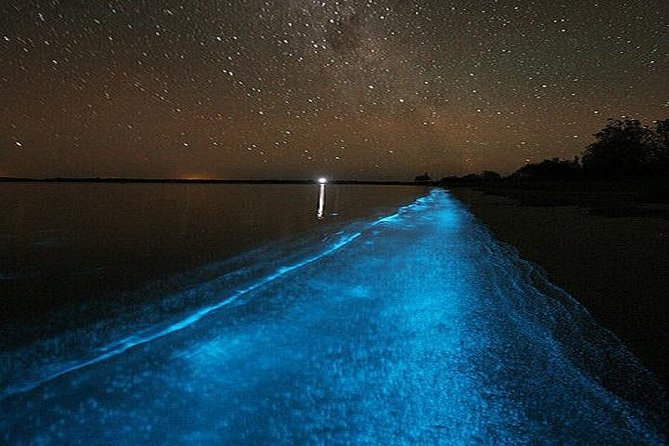 Luminous Lagoon Night-Time Tour from Montego Bay - Moon phase and crowds: how to get the brightest glow
