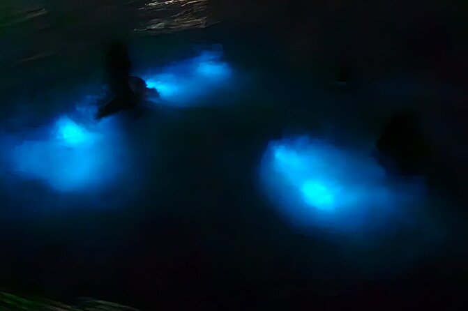 Luminous Lagoon Night Tour and Swim/Fire Dance from Montego Bay - Key highlights you should care about