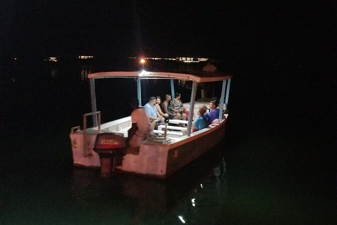 Luminous Lagoon Night Tour from Montego Bay - Safety gear and what to do if you are unsure about swimming