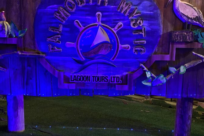 Luminous Lagoon Night Tour from Ocho Rios - Swimming in the Glowing Water: The Part That Feels Most Magical