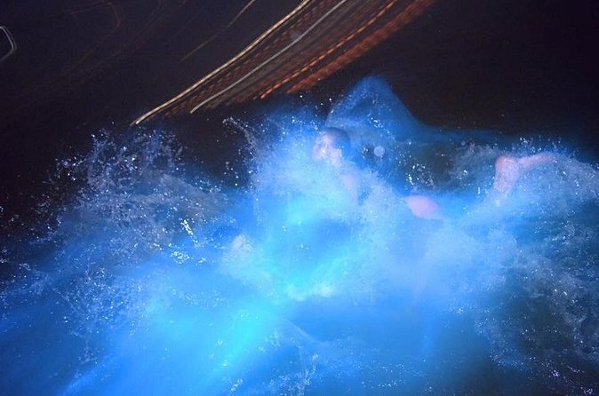 Luminous Lagoon Night Tour from Ocho Rios - The Guide’s Science Talk: Why It Makes the Lagoon More Than a Photo Stop