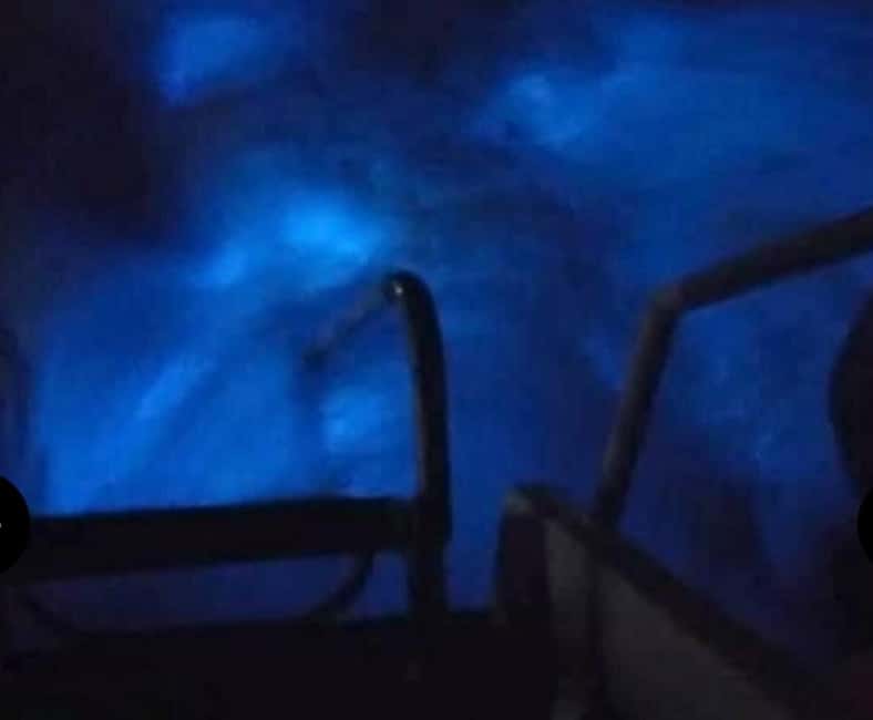Luminous lagoon : Night Tour from Ocho Rios and Runaway Bay - When to book for the brightest glow: moon and rainfall strategy