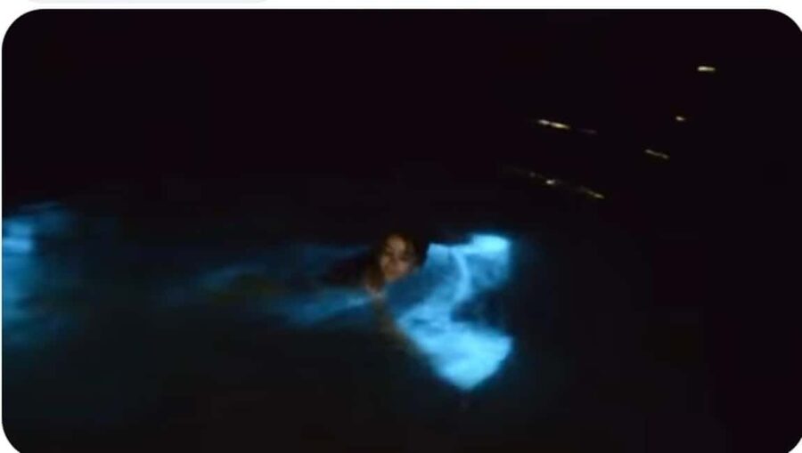 Luminous lagoon : Night Tour from Ocho Rios and Runaway Bay - From Ocho Rios and Runaway Bay: Pickup, drive, and boat-ride flow