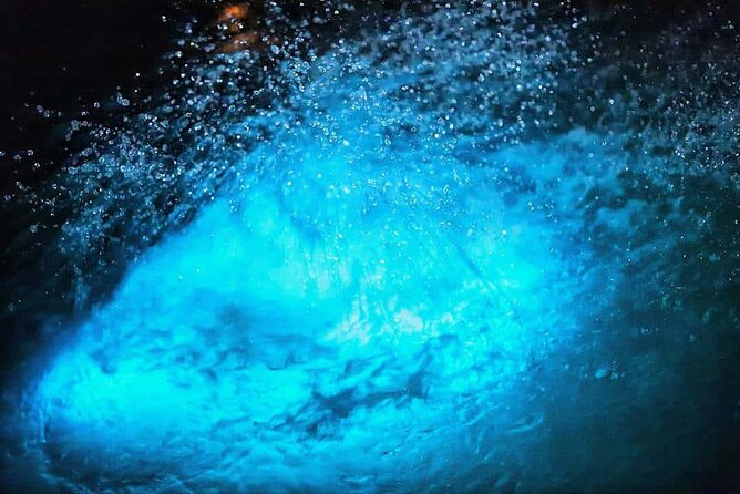 Luminous lagoon Night Tour Montego Bay - The Main Event: Swim or Watch the Bioluminescence Light Up