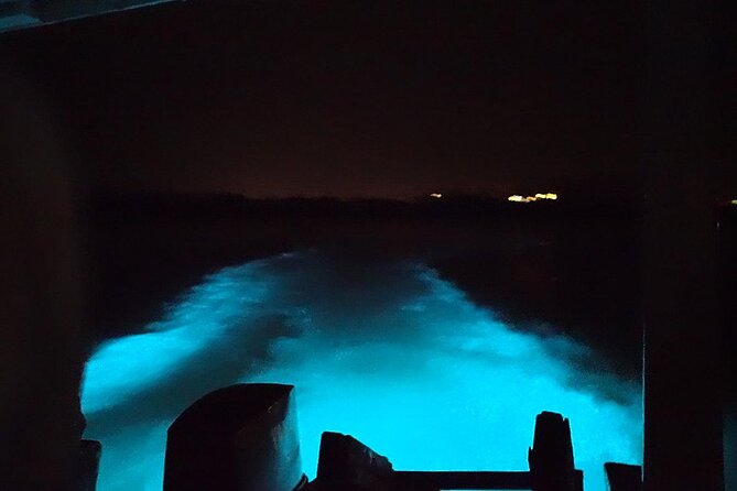 Luminous lagoon Night Tour Montego Bay - Fire Show and Guided Folklore That Makes It Feel Like a Night Out