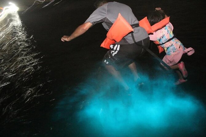 Luminous lagoon Night Tour Montego Bay - Price and Value: Is $75 Worth It?