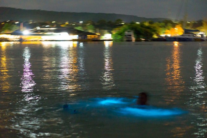 Luminous Lagoon Sightseeing Tour in Montego Bay - Key Points That Matter Before You Go
