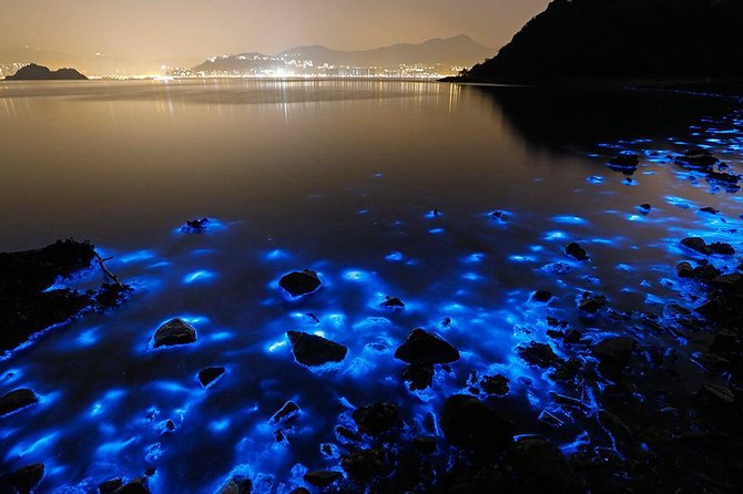 Luminous Lagoon Small Group Tour from Ocho Rios - Key things to know before you go