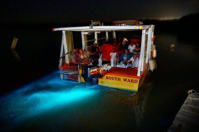 Luminous Lagoon Small Group Tour from Ocho Rios - When you hop in: making the glow work for you