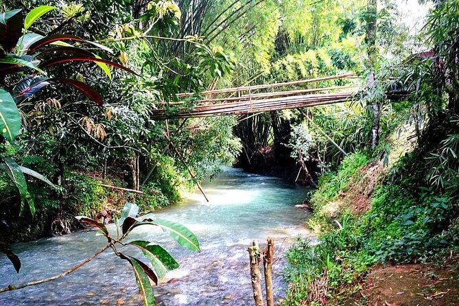 Mayfield Falls, Blue Hole & Rick's Café Tours/Weed Farm option - How the Mayfield Falls, Blue Hole, and Rick’s Cafe Route Actually Feels