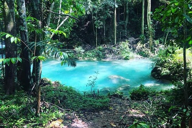 Mayfield Falls, Blue Hole & Rick's Café Tours/Weed Farm option - Pickup, Timing, and Group Size: Why This Feels Less Stressful