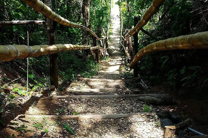 Mayfield Falls, Blue Hole & Rick's Café Tours/Weed Farm option - Blue Hole Mineral Spring: 22 Feet Down, Jump or Ladder, and How to Enjoy It