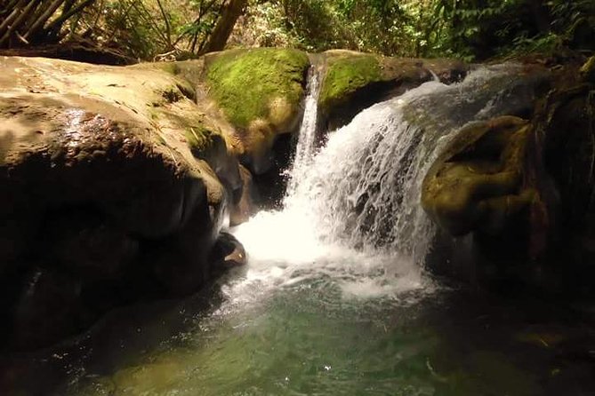 Mayfield Falls nature walk - Key things to know before you go