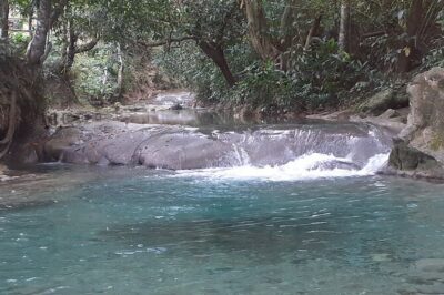 Mayfield Falls nature walk