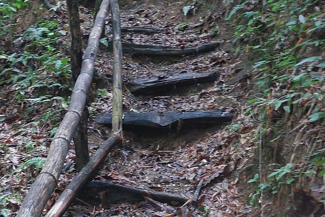 Mayfield Falls nature walk - Price and logistics: is $150 worth it for a private 4 to 5 hour nature outing?
