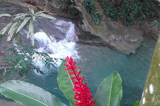 Mayfield Falls nature walk - Who this Mayfield Falls walk is best for