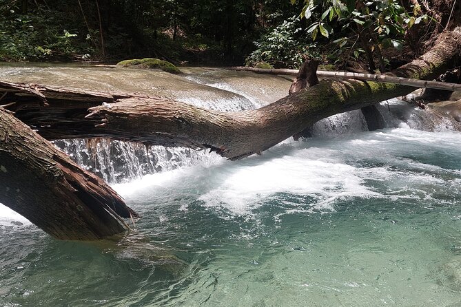 Mayfield Falls nature walk - Should you book this Mayfield Falls nature walk?