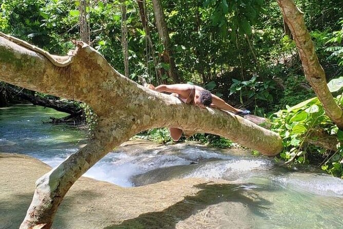 Mayfield Falls Tour with Lunch, drink, Entry & Transp(Original) - Pickup and ride from Montego Bay, with air-conditioned comfort