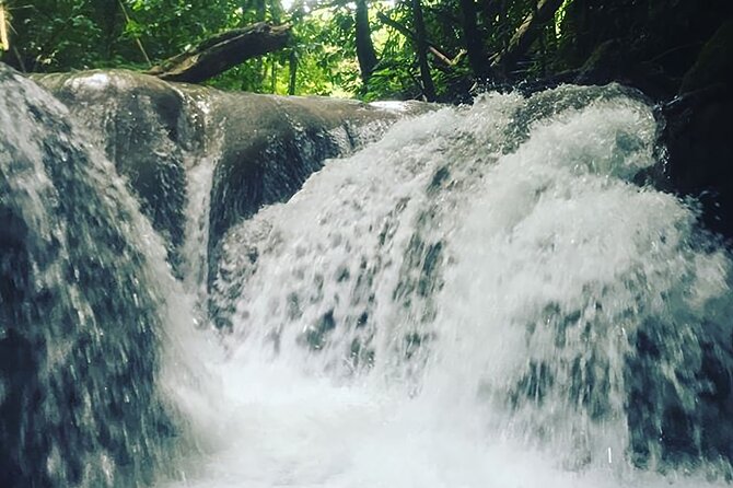 Mayfield Falls Tour with Lunch, drink, Entry & Transp(Original) - Guided plant, geology, and river knowledge you can actually use