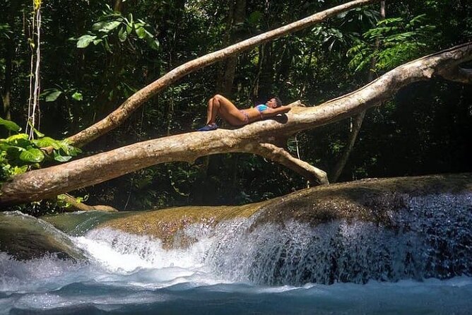 Mayfield Falls Tour with Lunch, drink, Entry & Transp(Original) - Price and value: what the $125 gets you, and what costs extra