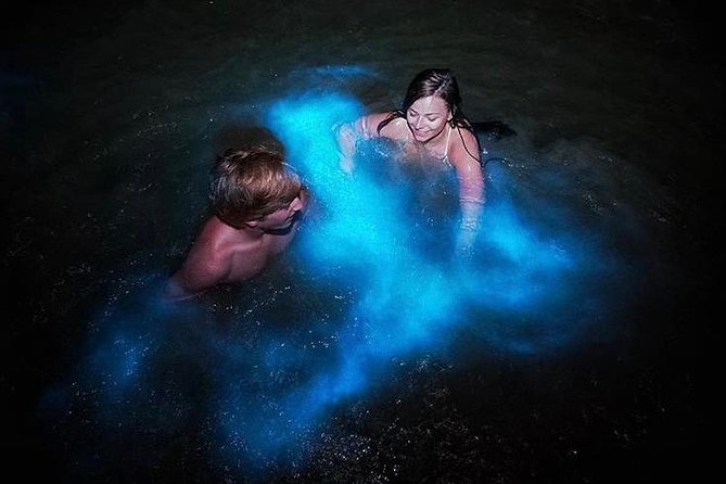Mesmerizing Luminous Lagoon (Glistening Waters) Night Tour - Air-conditioned transport and hotel transfers that actually save time