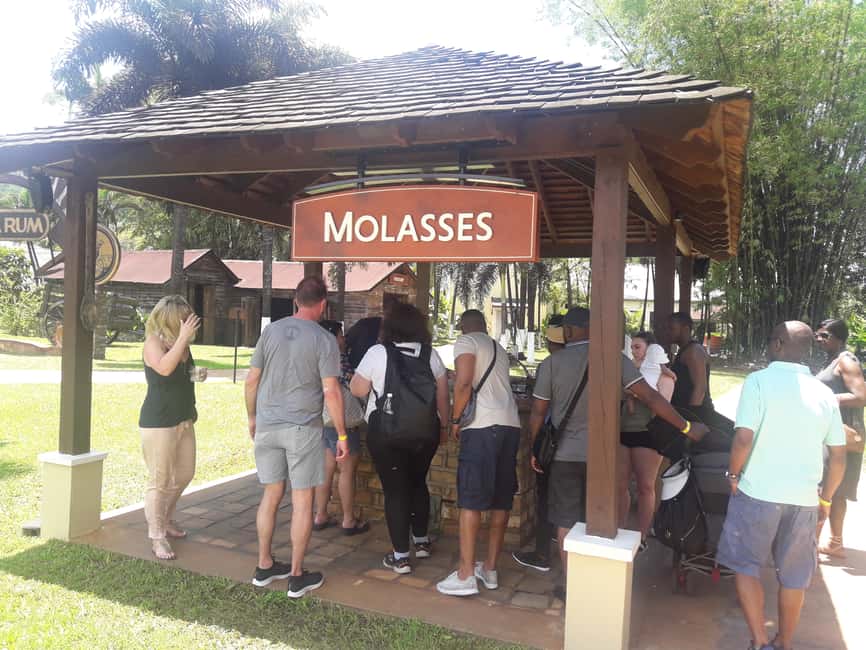 Montego Bay: 8-Hour Appleton & Pelican Bar Return Transfer - Hotel pickup and the private drive that sets the tone