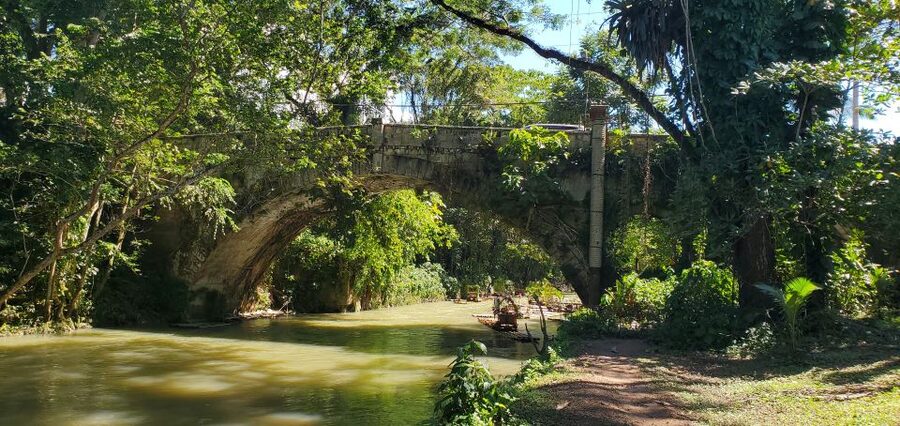 Montego Bay: Bamboo Raft Cruise on the Great River - Food, Drinks, and What You Should Budget For
