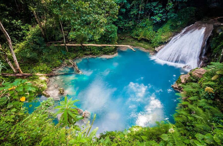 Montego Bay: Blue Hole, Dunn’s River, and Reggae Hill Tour - A full water day from Montego Bay: Blue Hole to Dunn’s River to Reggae Hill