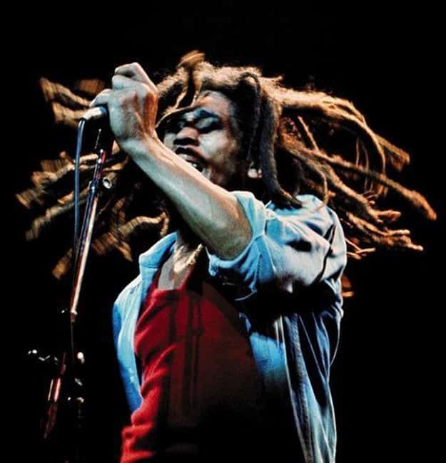 Montego Bay: Bob Marley Tour to 9 Mile, St. Ann - Private Montego Bay transportation that actually matters