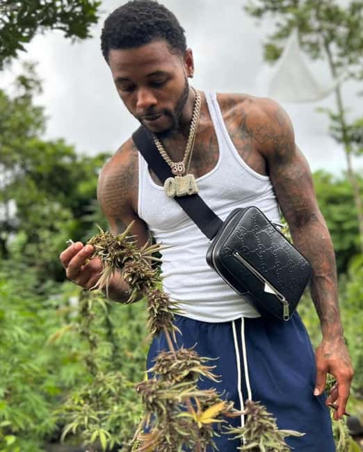 Montego Bay: Cannabis Farm, Bamboo Rafting, & Foot Massage - The Marijuana Farm Visit: Jamaica’s Cannabis Culture Up Close