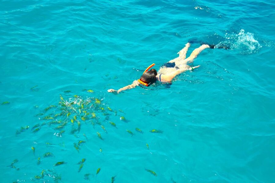 Montego Bay Catamaran Cruise and Snorkeling Tour - From Your Hotel To a Luxury Catamaran in Montego Bay