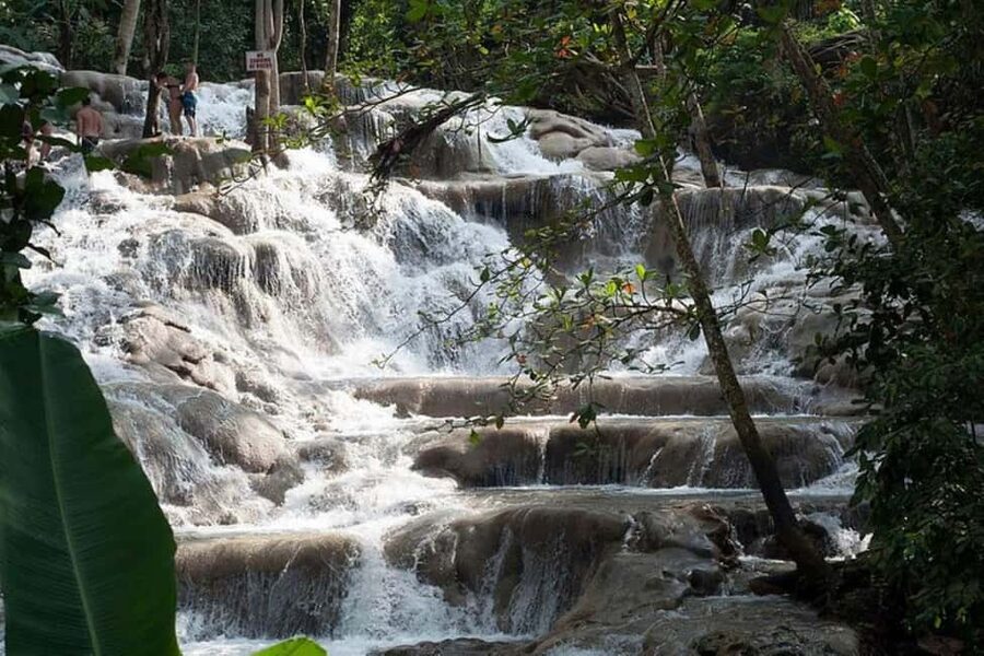 Montego Bay: Chuck Norris Falls & Dunn's River Falls Tour - Should You Book This Montego Bay Chuck Norris Falls and Dunn’s River Tour?
