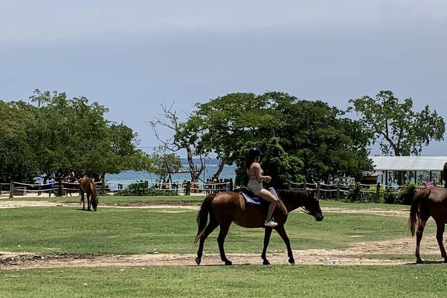 Montego Bay: Day Trip with Zipline, ATV, and Horseback Ride - Zipline Over Jamaica: Great Views, With One Price-Sensitive Warning