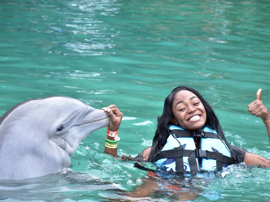 Montego Bay: Dolphin Cove Ocho Rios Day Trip - Private transfer with Ellis Tours & Transfers JA, not a shared bus