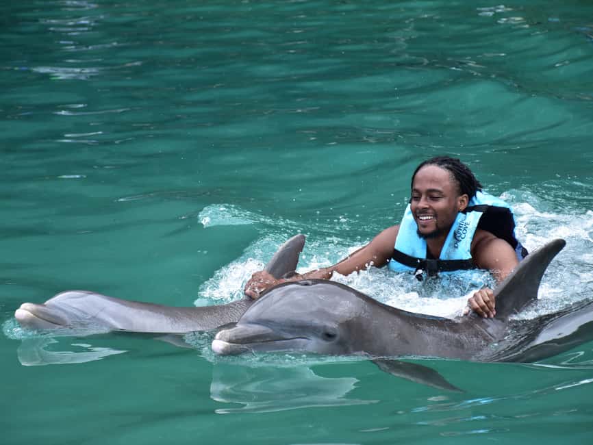Montego Bay: Dolphin Cove Ocho Rios Day Trip - Dolphin Cove Ocho Rios: what the dolphin experience is really about