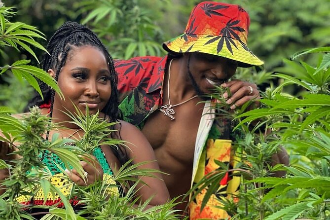 Montego Bay Exotic Herbs, Birds and Animals Interaction Tour - Key highlights at a glance