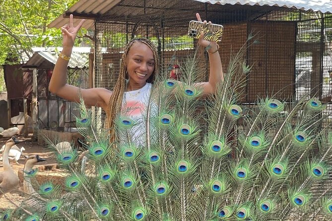 Montego Bay Exotic Herbs, Birds and Animals Interaction Tour - A hands-on Ironshore farm stop for animal lovers (and photo fans)