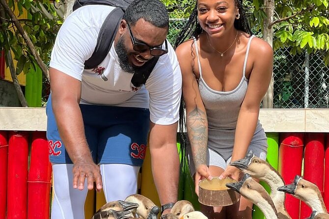 Montego Bay Exotic Herbs, Birds and Animals Interaction Tour - Price and logistics: what $95 covers, and when extra costs may apply