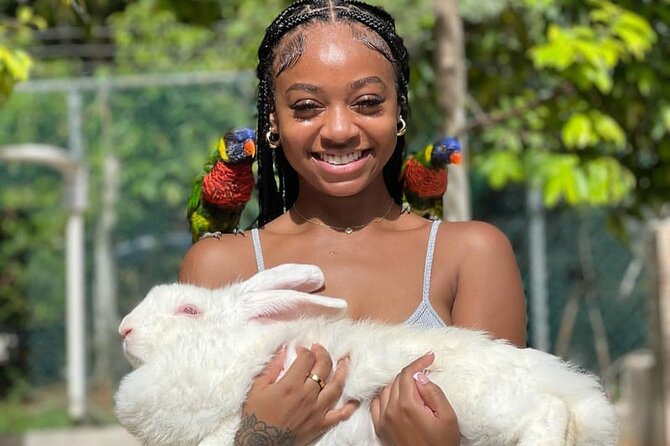 Montego Bay Exotic Herbs, Birds and Animals Interaction Tour - Timing and weather: why rain can change how the day feels