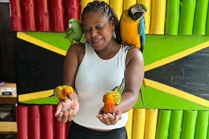 Montego Bay Exotic Herbs, Birds and Animals Interaction Tour - How to get the most from the feeding and photo moments